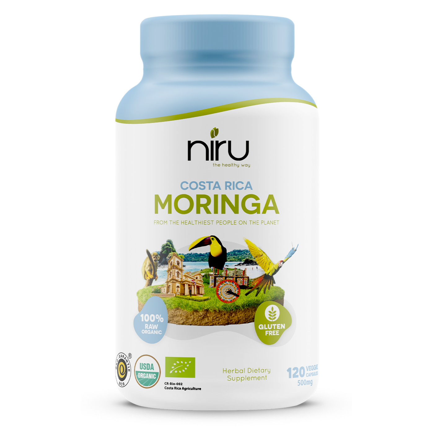 Moringa from Costa Rica