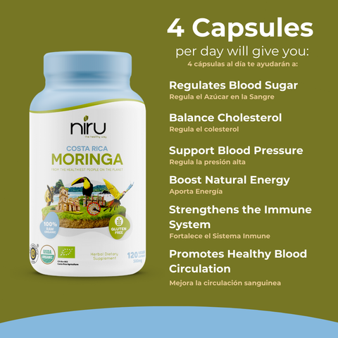 Moringa from Costa Rica